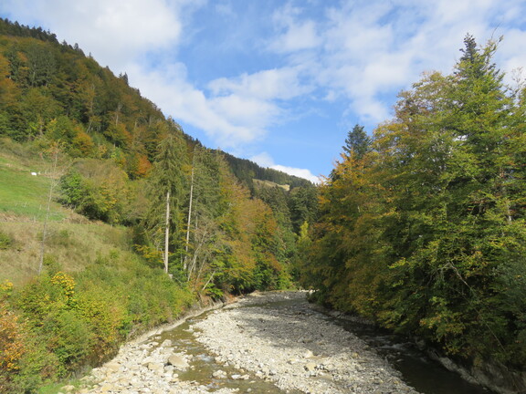 Холодная Зензе