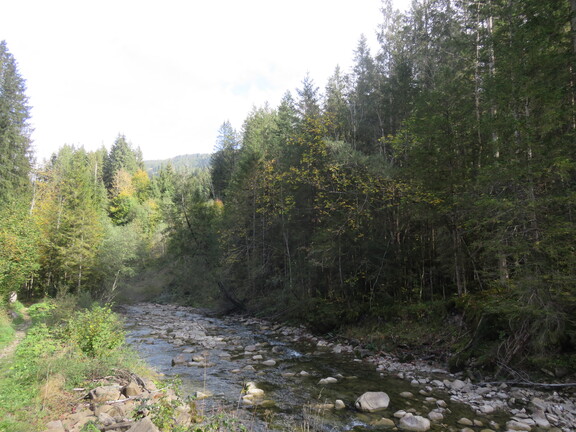 Теплая Зензе