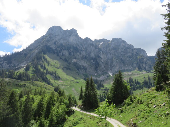 Массив Шпитцфлу