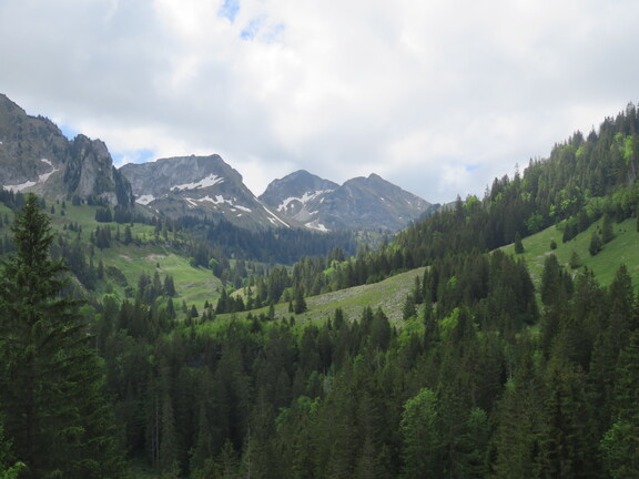 Долина Брекка