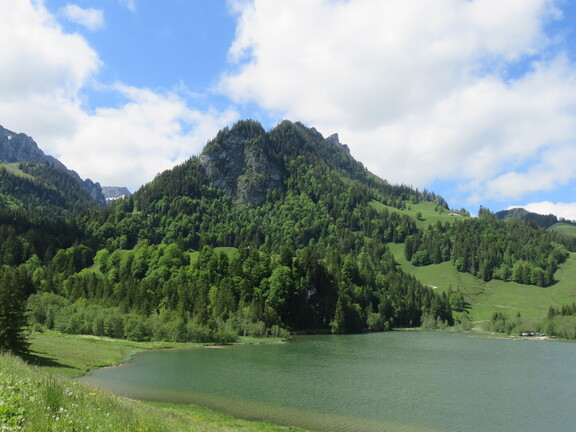 Черное озеро