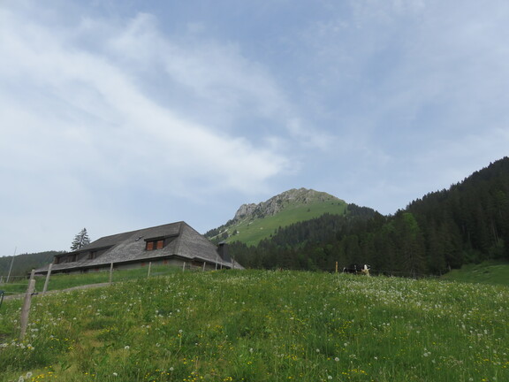 Инкрота: горная ферма