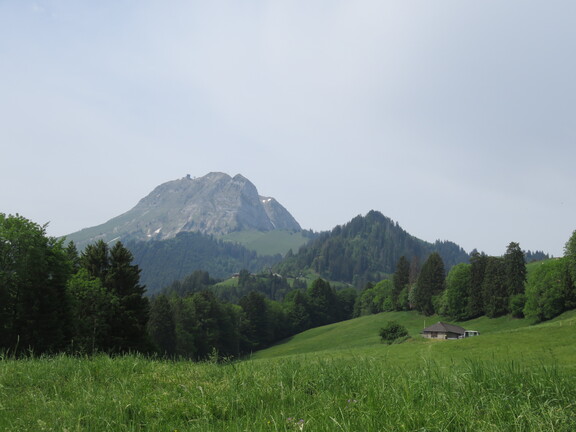 Гора Молезон