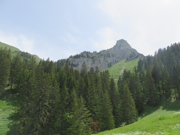 Путь мимо Тейсашо - второй вершины хребта Молезона