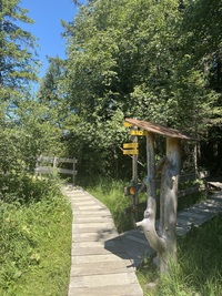 Болото Ле-Теннасс