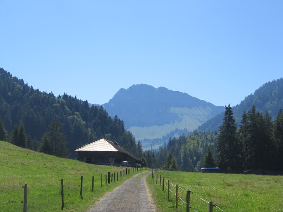 В окрестностях Ле-Пакко