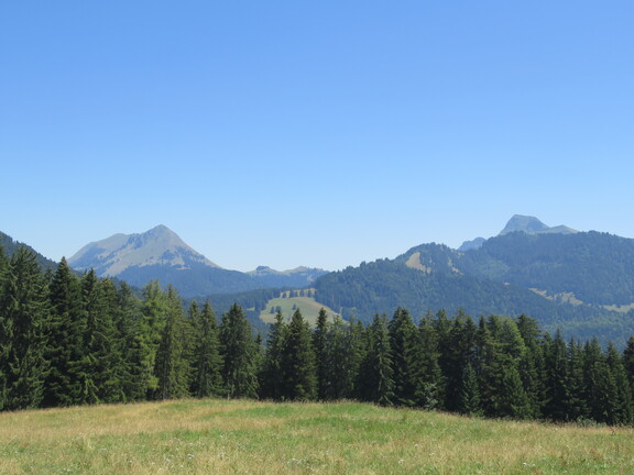 Фрибурские Предальпы