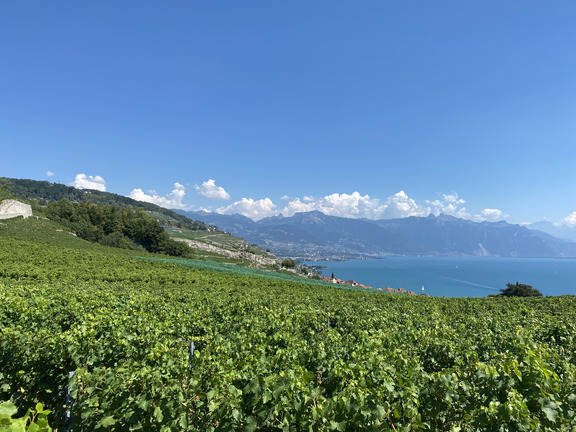 Вид с холмов Пюиду