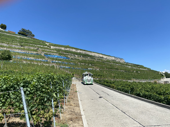 Туристический поезд