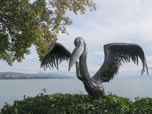 Сен-Сюльпис - пляж Пеликана