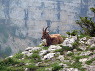 Впадина Ван