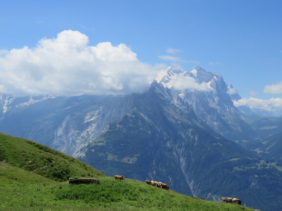 Спуск к Мейрингену