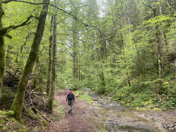 Выход из ущелья