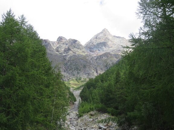 Подвесной мост - вид из долины