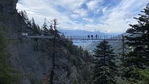 Подвесной мост (2020 год)