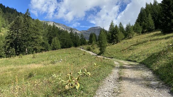 Подъем к плотине через альпийские луга