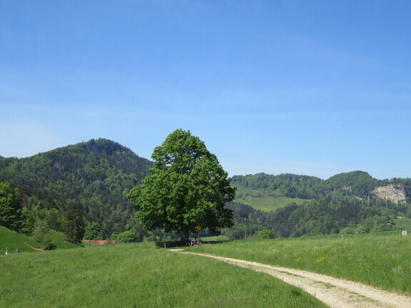 Сельский пейзаж