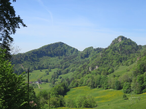 Сельский пейзаж