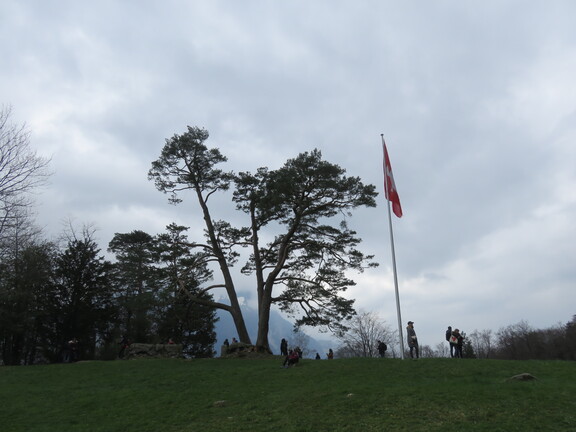Патриотическая поляна Рютли