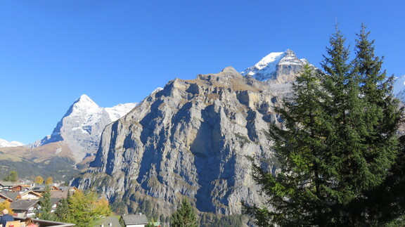 Черный Монах