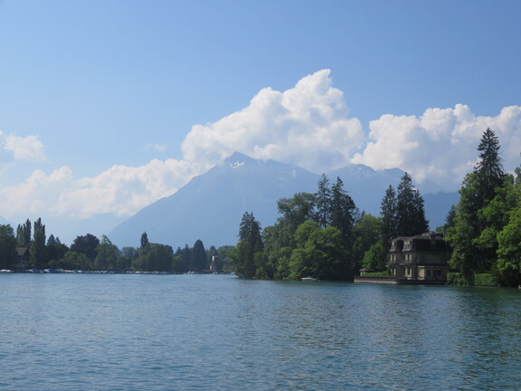 Замок Шадау с парком