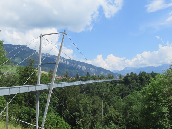Подвесной мост