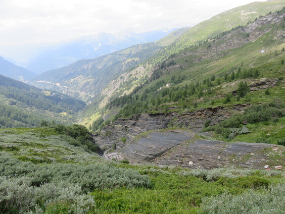 Русло ручья Гантербах