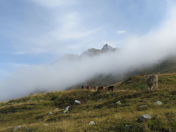 Долина Реусс