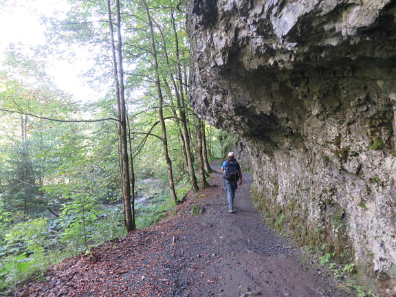 Лесная тропа