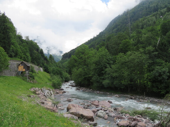 Приток Линта Зернф