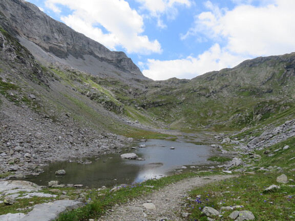 Ведьмино озерцо