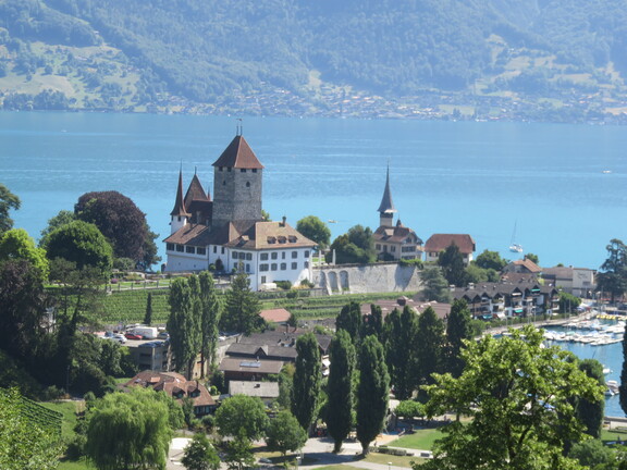 Шпиц. Замок.