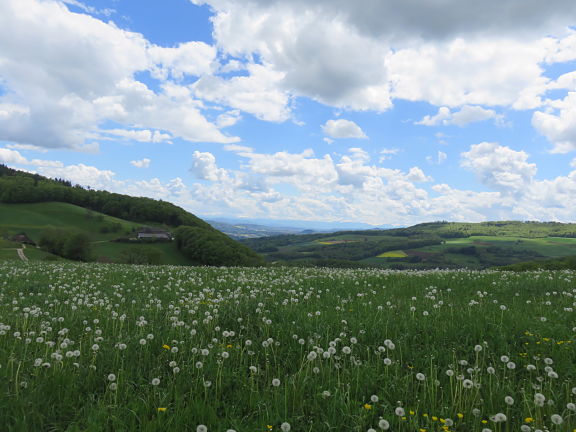 Парк Аргау Юра