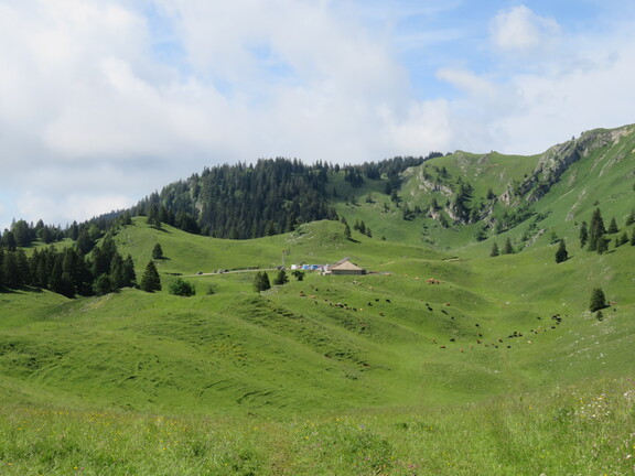 Вид на шале Доль со стороны Вюарн