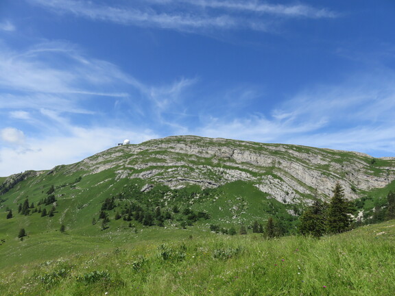 Вершина Доль