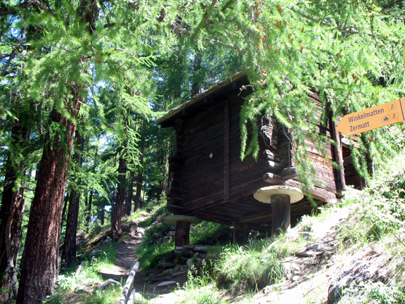 Спуск в Церматт через Винкельматтен