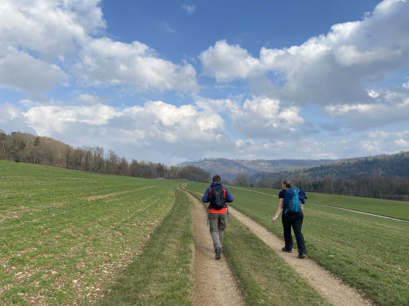 Пологие холмы кантона Юра