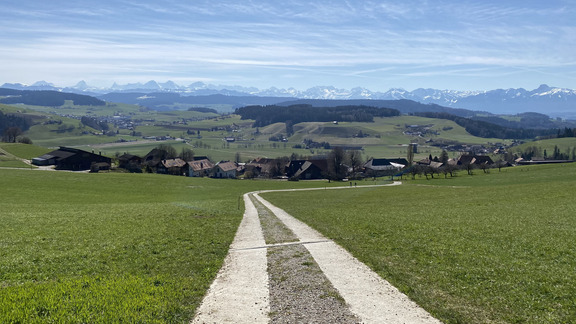 Альпийская панорама