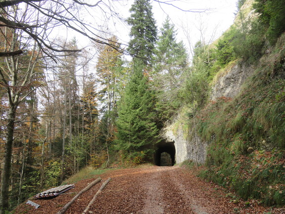Туннель Хегенлох