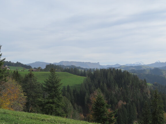 Вид на Шраттенфлу