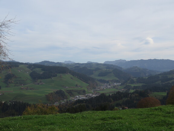 Панорама: Вильдматт