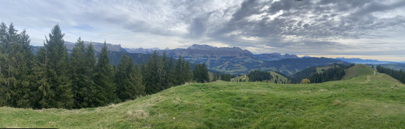 Хогант - королева Эмменталя