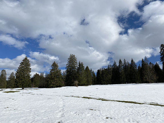 Плато Франш-Монтань