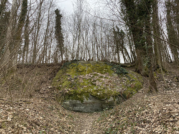 Камень Агассиз