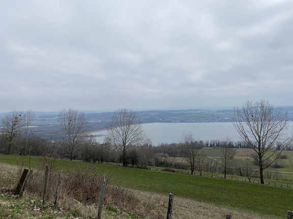 Вид с вершины Мон-Вюльи