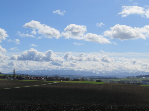 Панорама фрибурских Альп