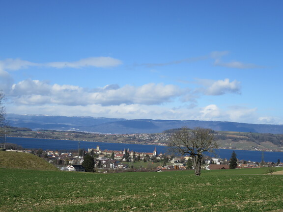 Город и Муртенское озеро