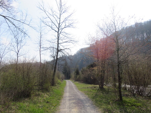 Прогулка вдоль реки Зензе