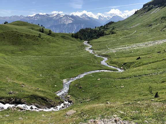 Горный поток Тиеш