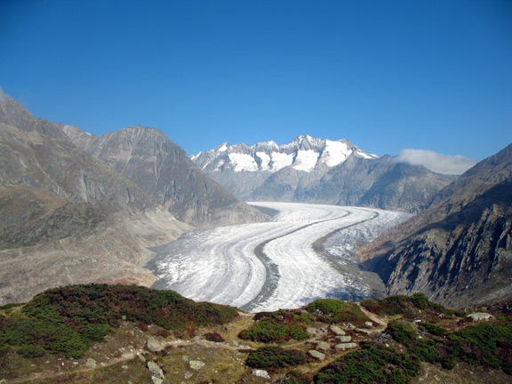 Ледник Алеч